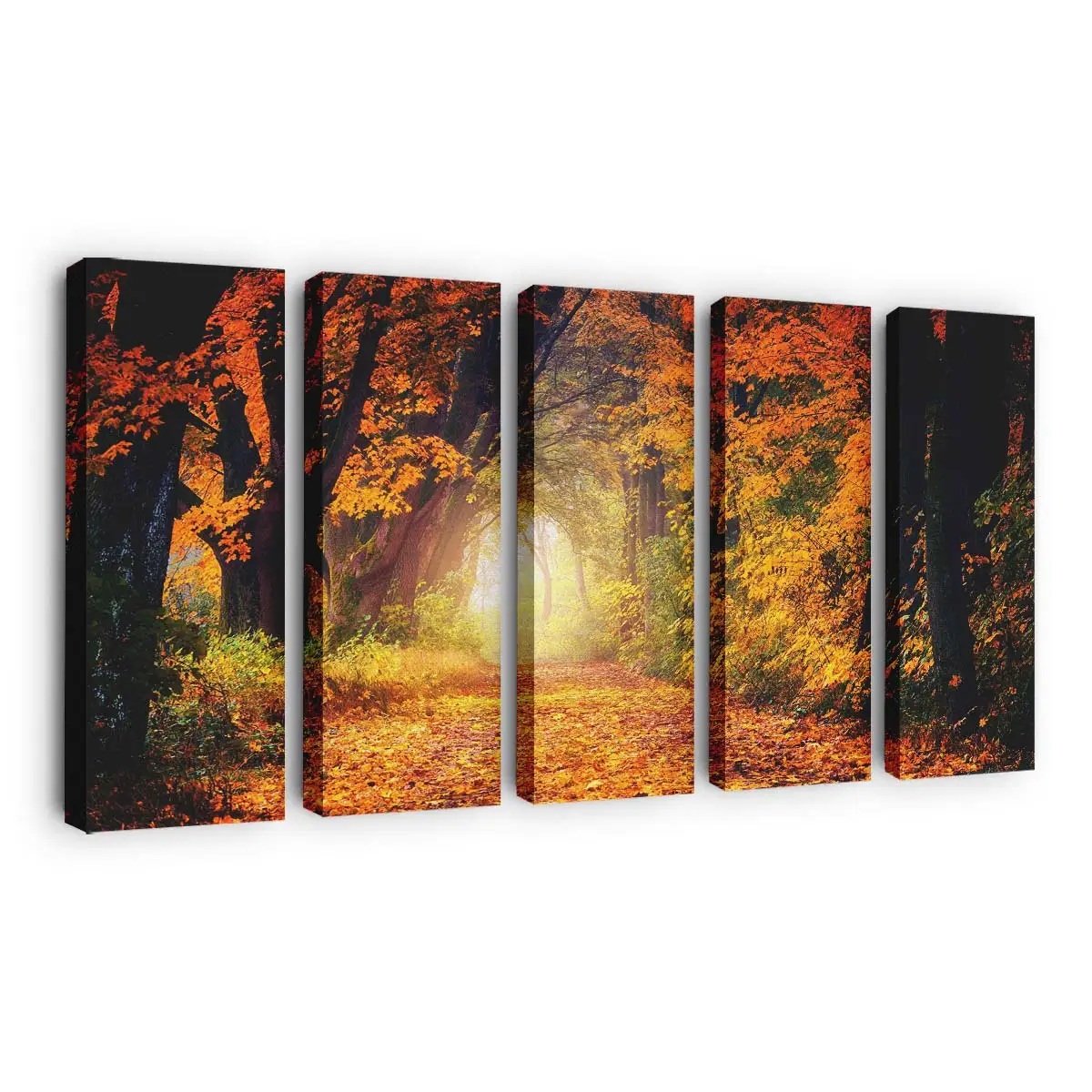 Schöner Herbstlicher Baumtunnel Leinwandbild