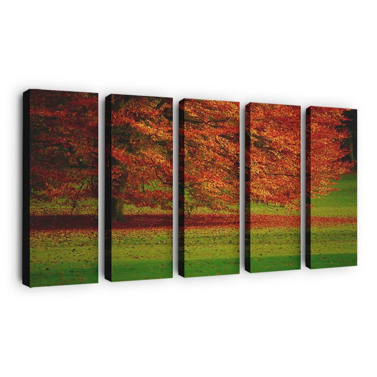 Schöner Orangefarbener Herbstbaum Leinwandbild