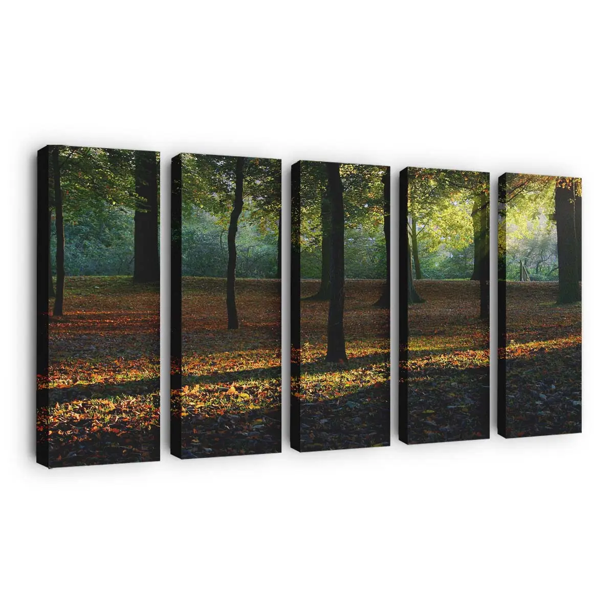 Schönes Goldenes Herbstlicht Leinwandbild