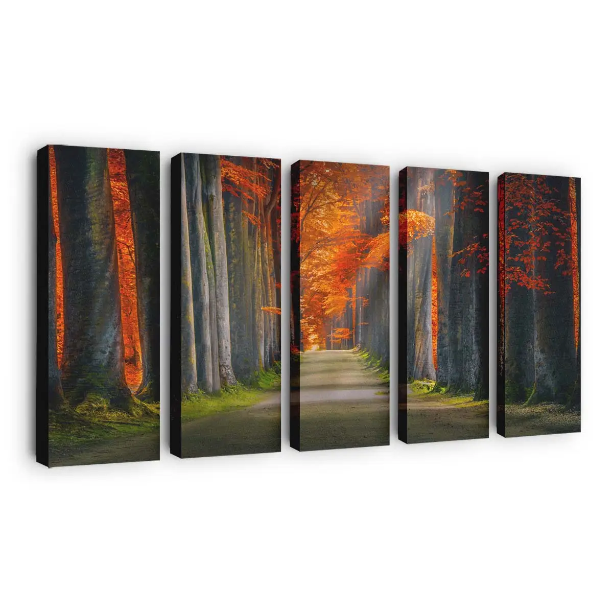 Schönes Herbstliches Nachmittagslicht Leinwandbild