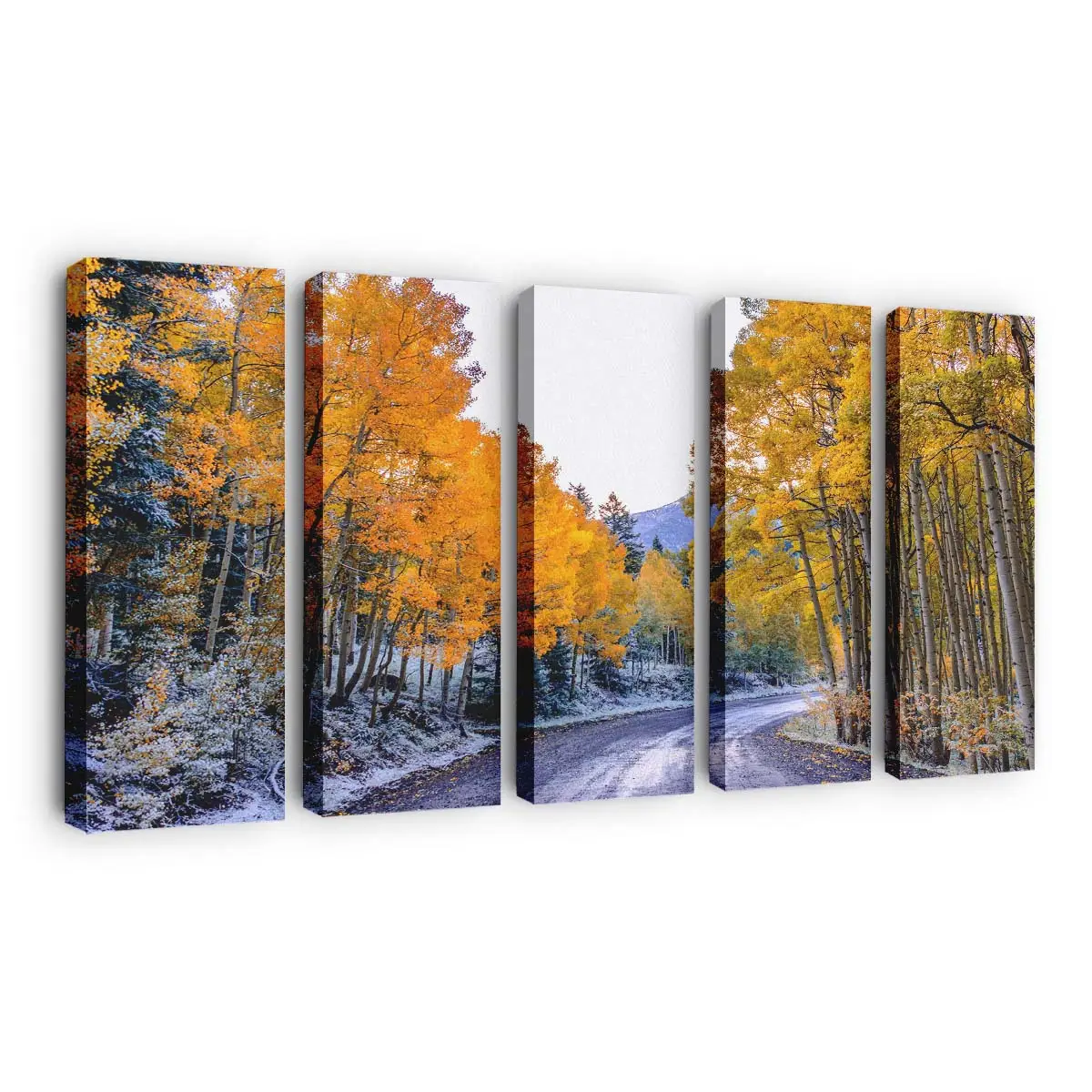 Szene Im Spätherbst Und Frühwinter Leinwandbild