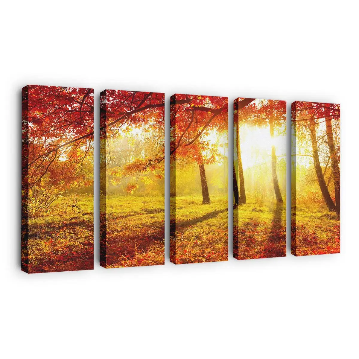 Herbstlicher Naturanblick Leinwandbild