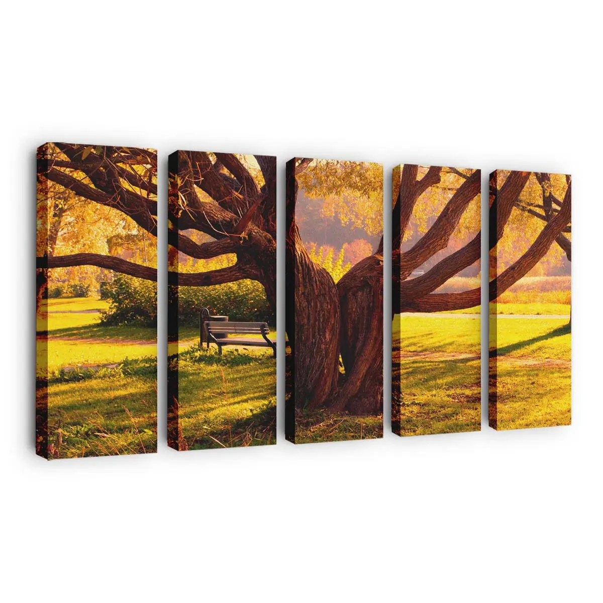 Zwillingsbume Im Herbst Leinwandbild