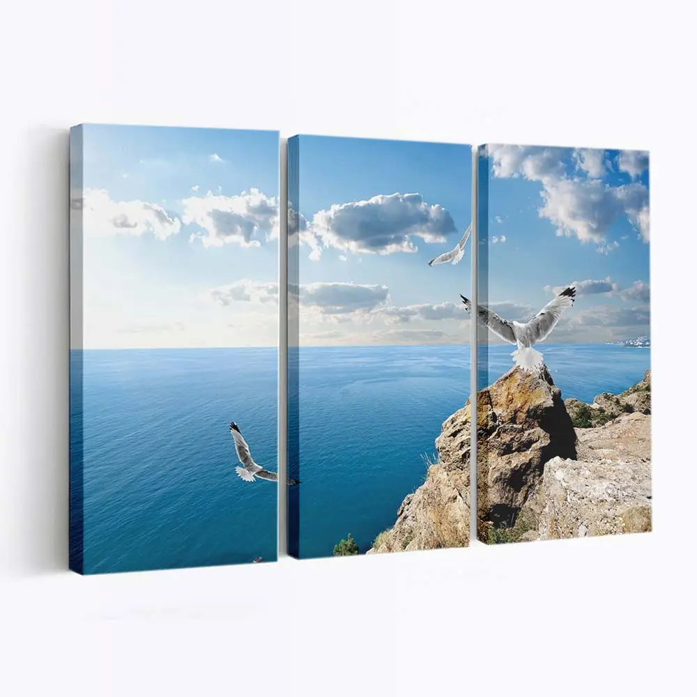 Möwen Ruhen Sich auf einem Meeresfelsen an der Küste Aus Leinwandbild