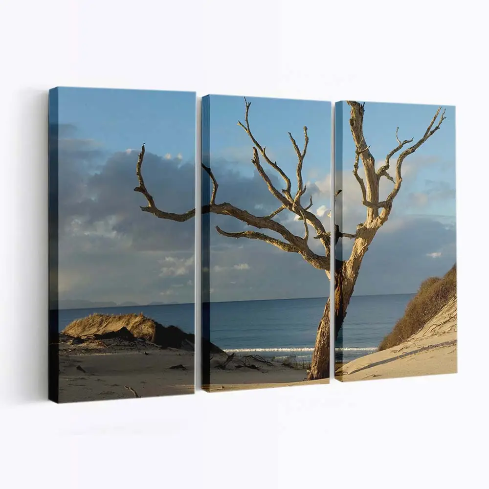 Trockener Ast an einem Sandstrand Leinwandbild