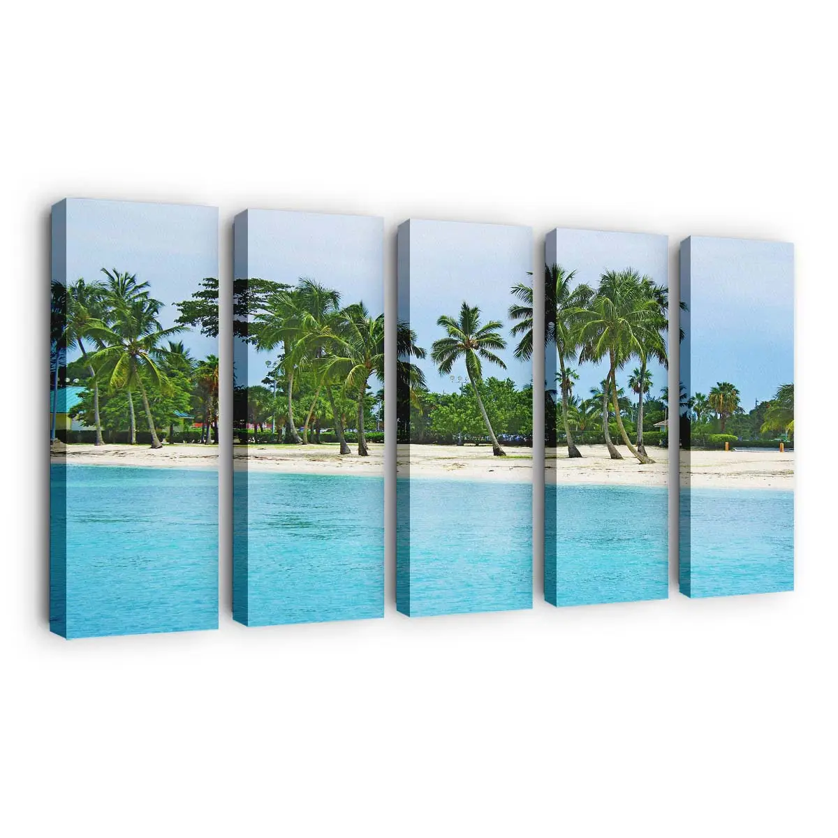 Sandstrandlandschaft der Bahamas Leinwandbild