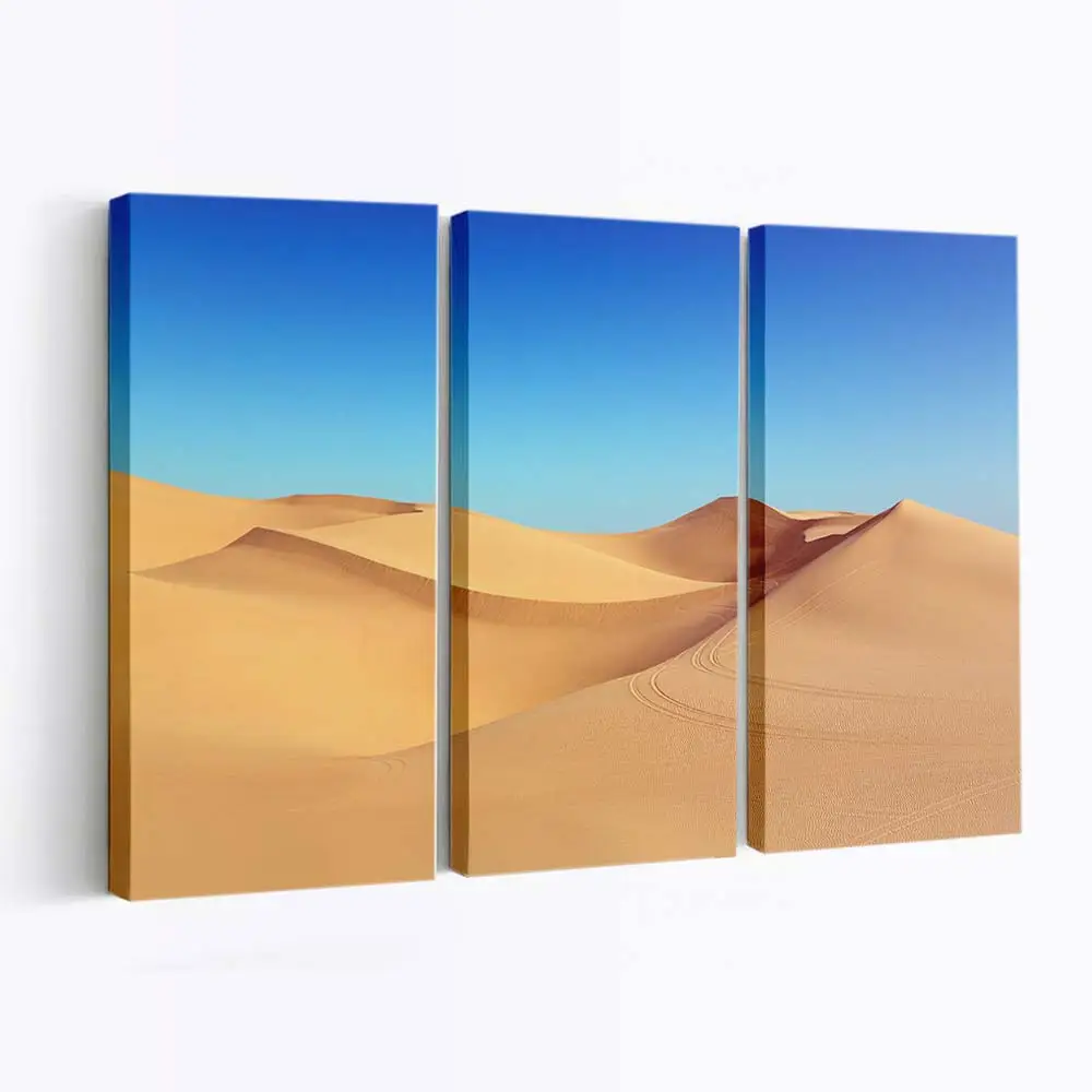 Algodones Dünen In Kalifornien Leinwandbild