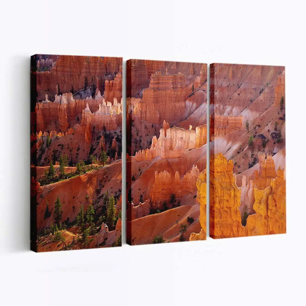 Formationen im Wüstencanyon Leinwandbild