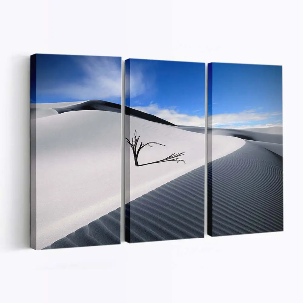 Weiße Wüstenlandschaft Leinwandbild