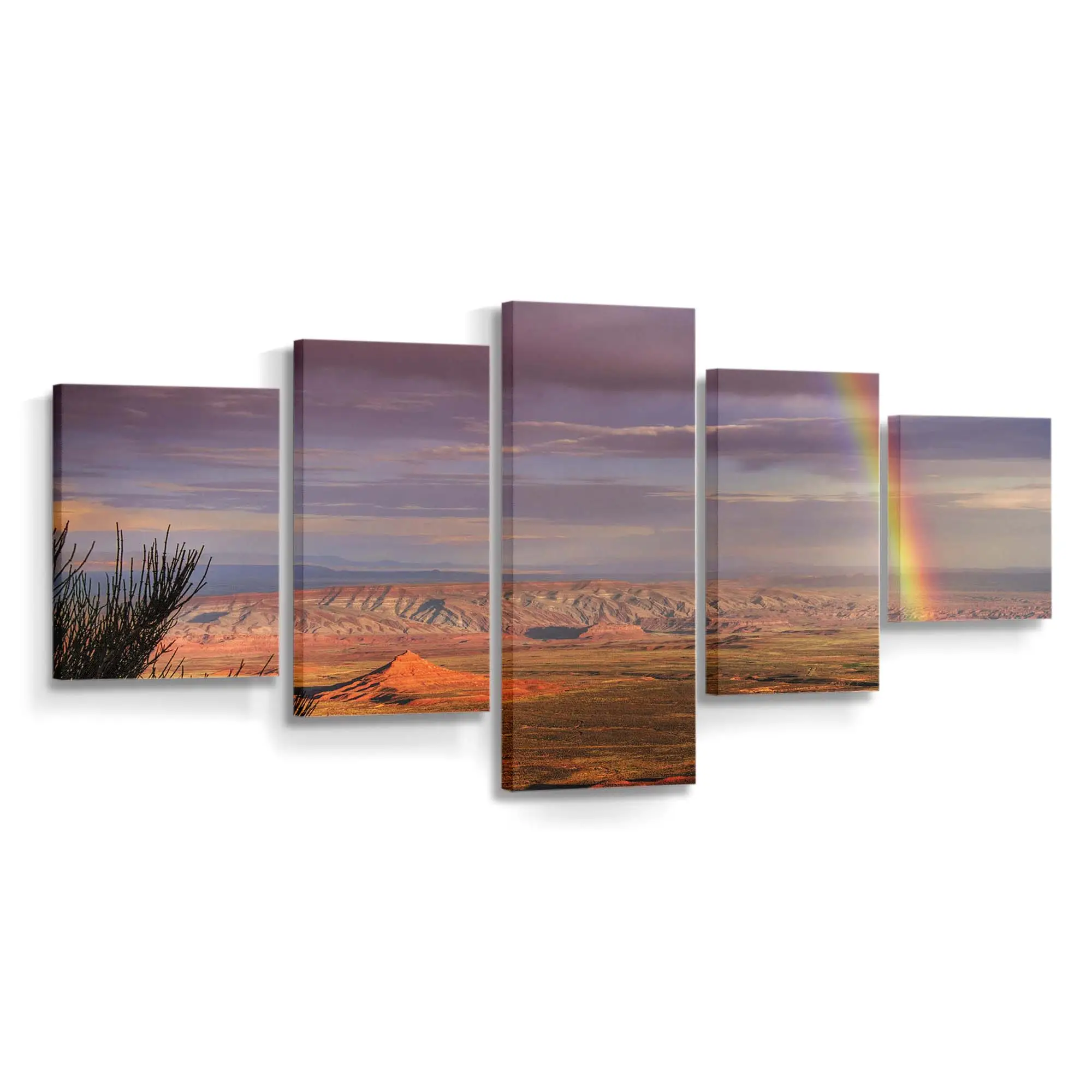 Regenbogen Über einem Wüstencanyon Leinwandbild