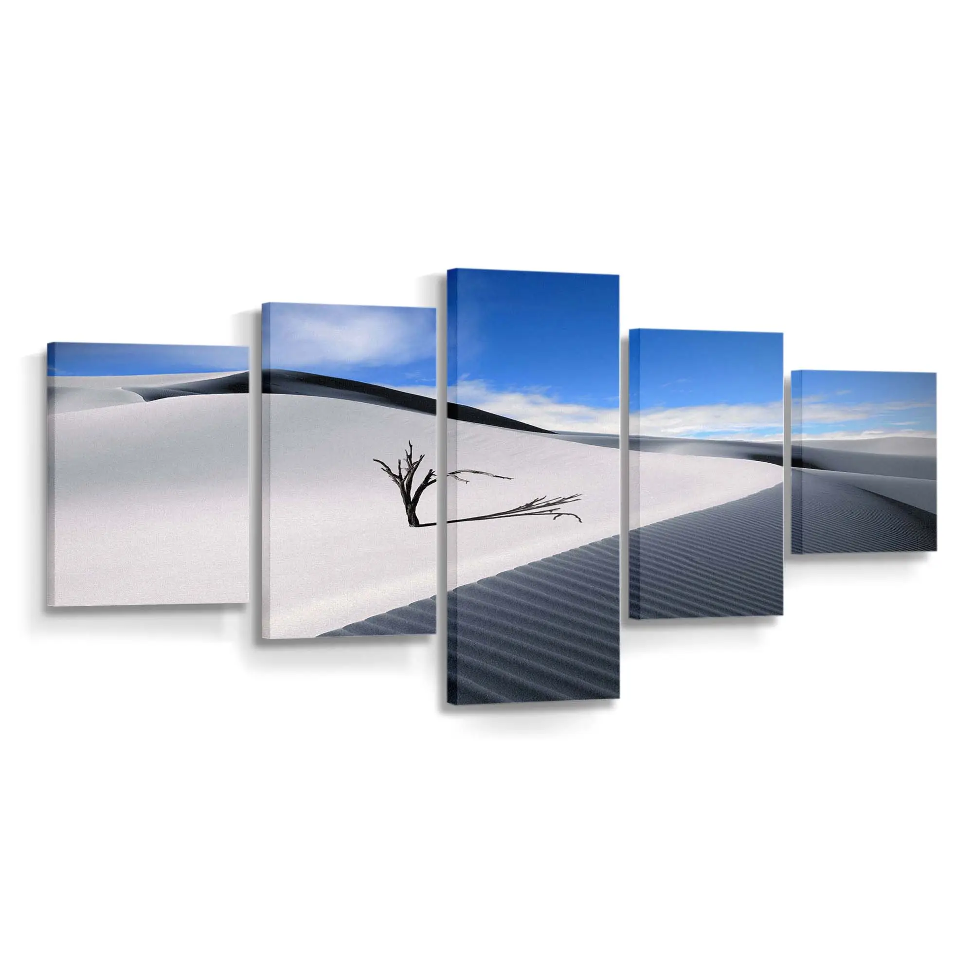 Weiße Wüstenlandschaft Leinwandbild