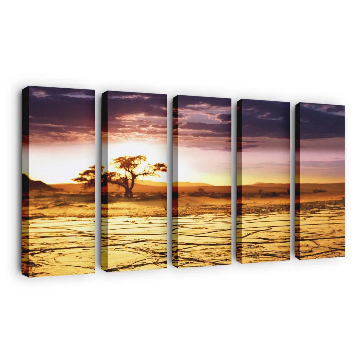 Afrikanische Wüstenlandschaft Leinwandbild