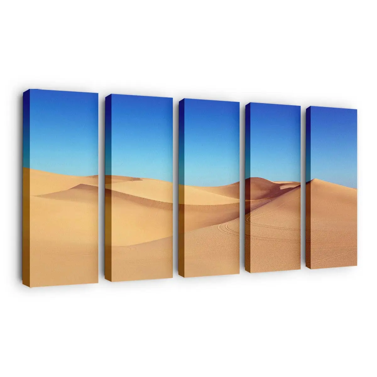 Algodones Dünen In Kalifornien Leinwandbild