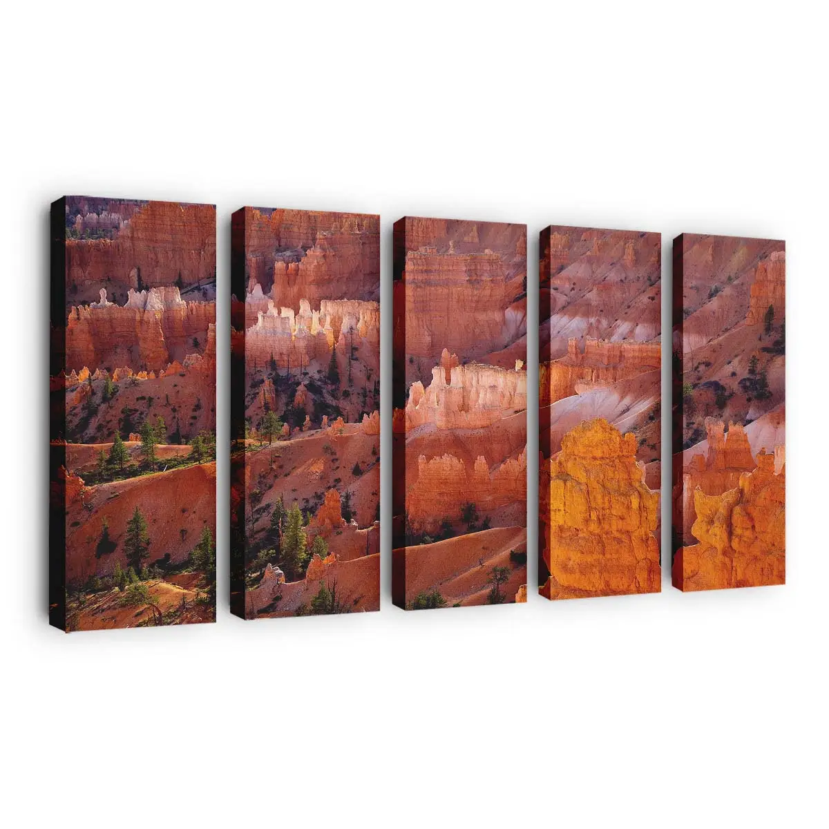 Formationen im Wüstencanyon Leinwandbild