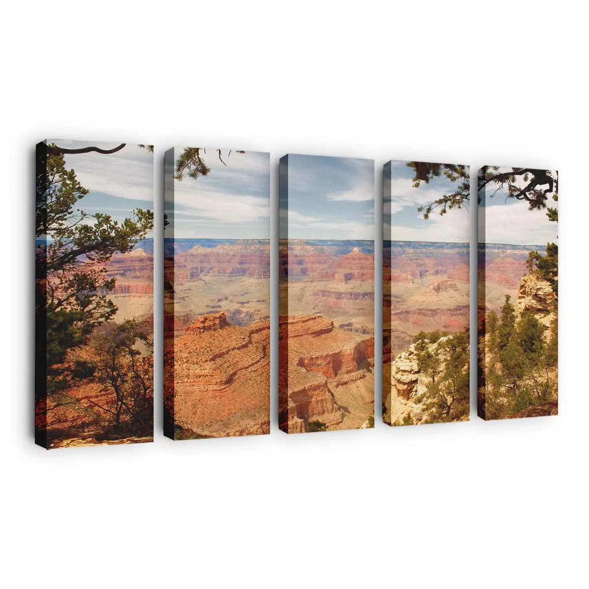 Panorama Eines Wüstencanyons Leinwandbild