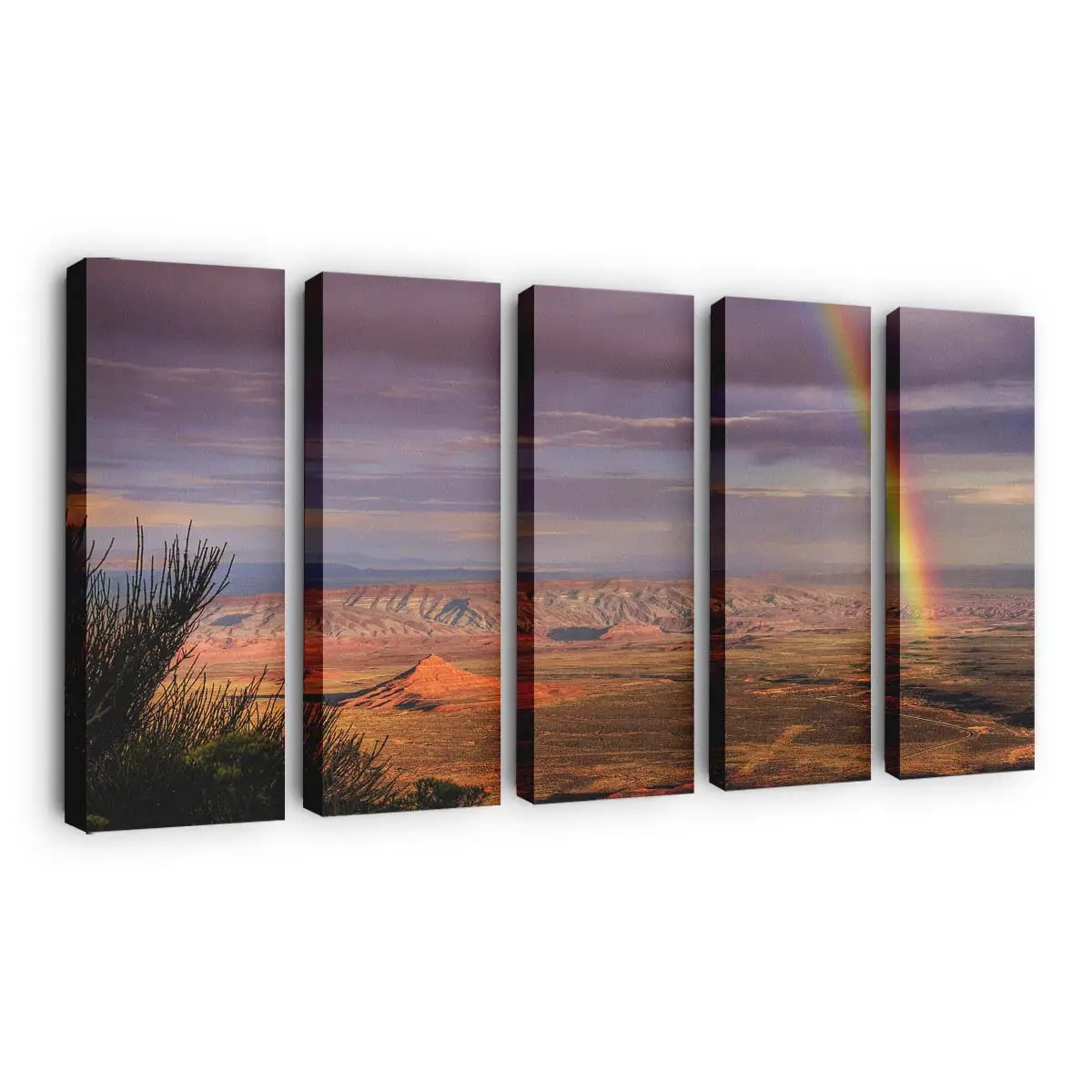 Regenbogen Über einem Wüstencanyon Leinwandbild