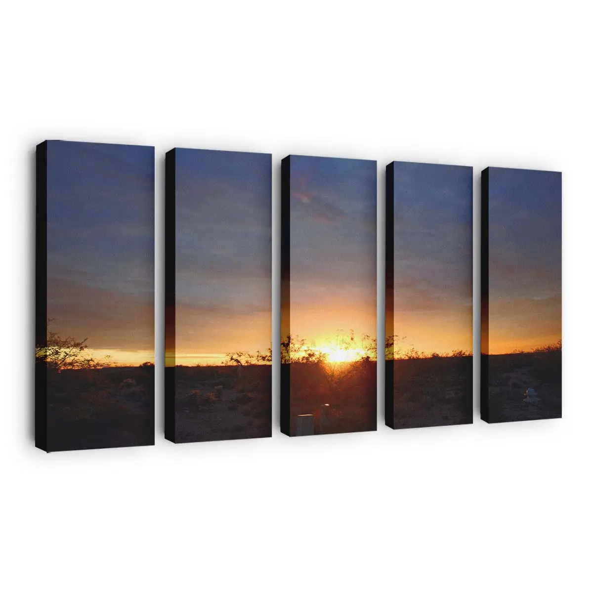 Sonnenuntergang in der Wüste Arizonas Leinwandbild