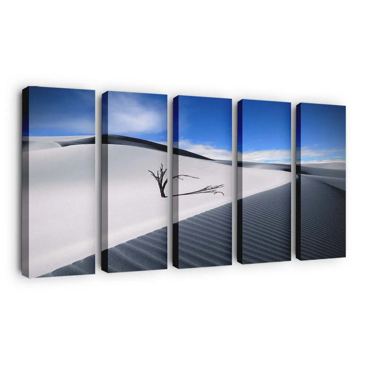 Weiße Wüstenlandschaft Leinwandbild