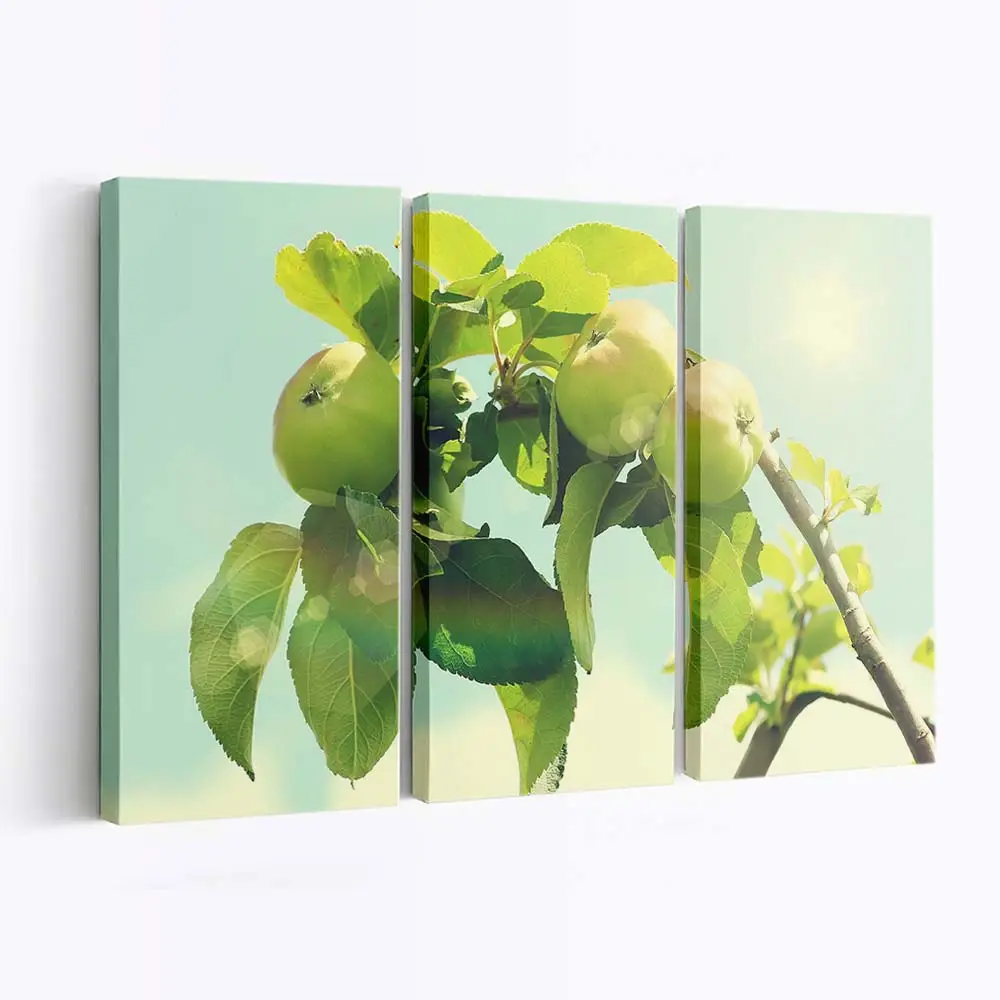 Reife Äpfel Am Baum Leinwandbild