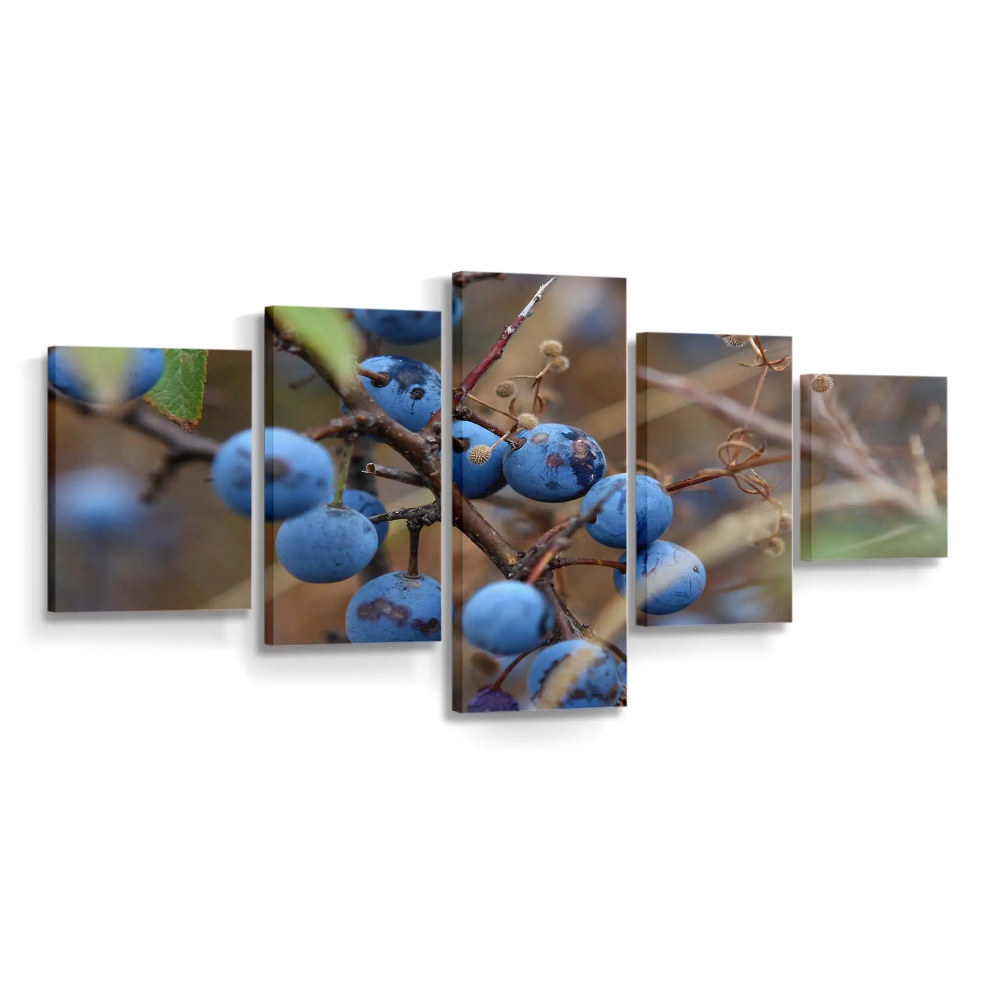 Reife Blaubeere im Makro Leinwandbild