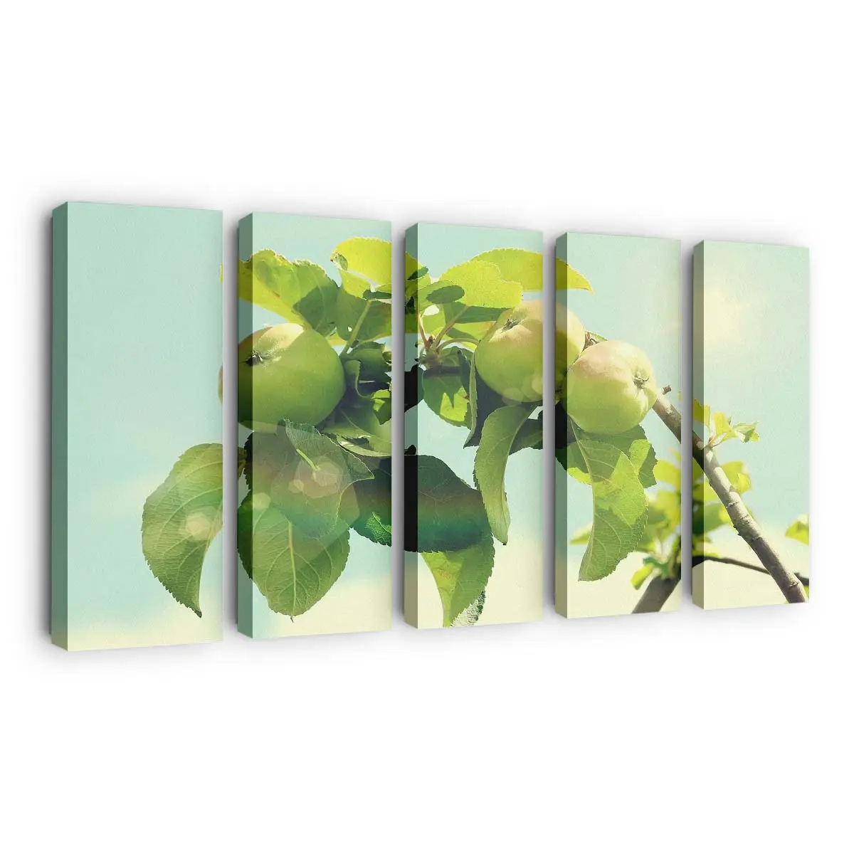 Reife Äpfel Am Baum Leinwandbild