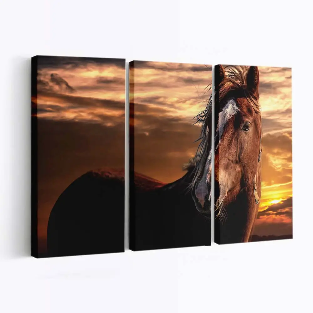 Braunes Pferd mit Blesse Leinwandbild