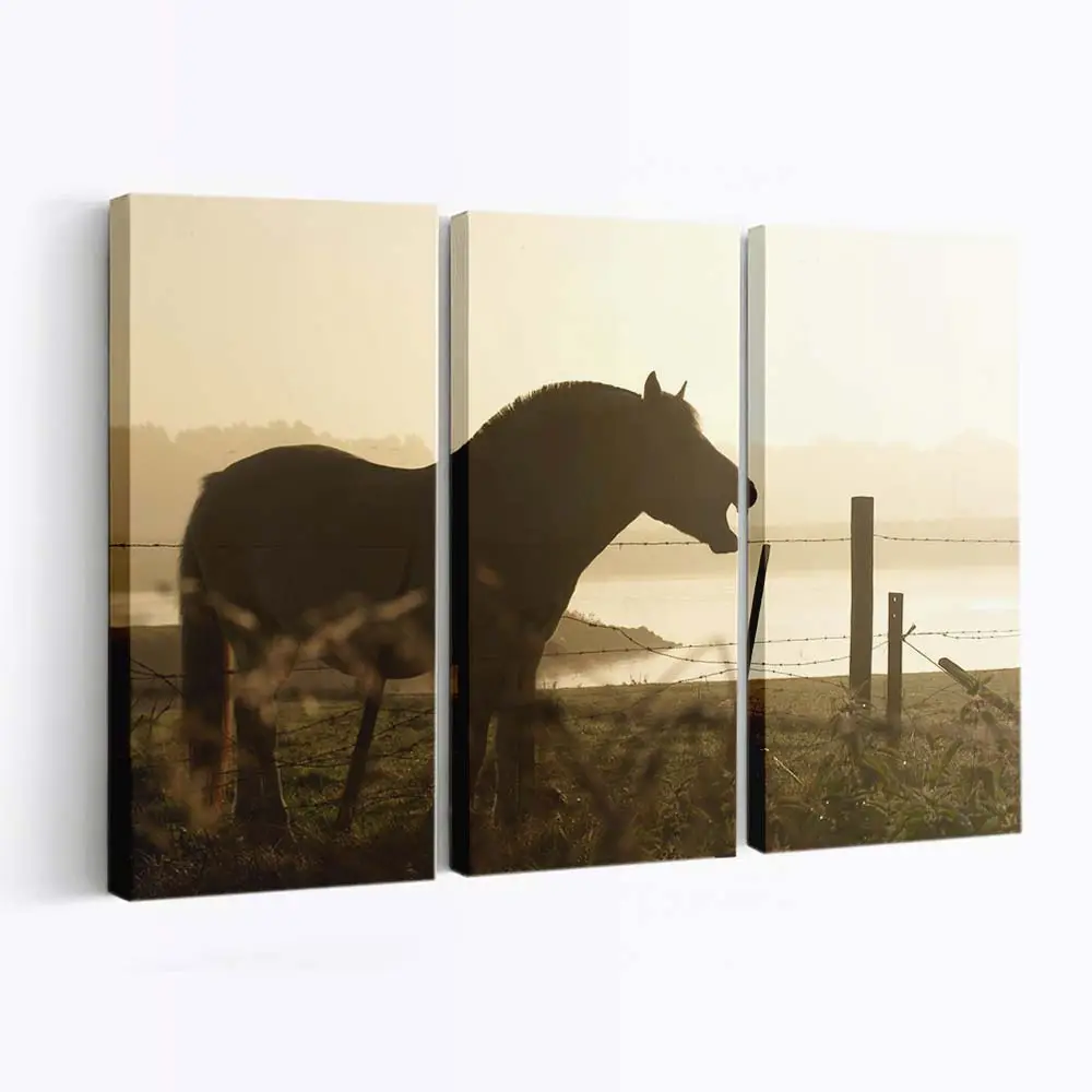 Dunkle Pferde-Silhouette vor Goldenem Himmel Leinwandbild