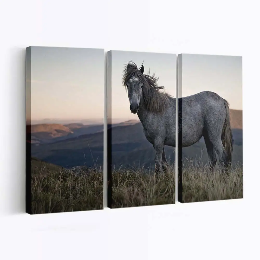 Freilaufendes Wildpferd in der Natur Leinwandbild