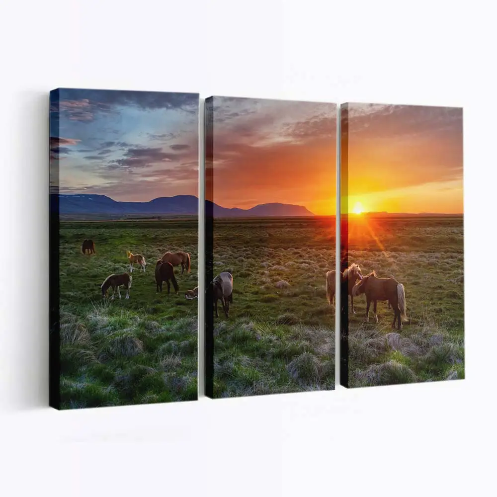 Grasende Wildpferde bei Sonnenuntergang Leinwandbild
