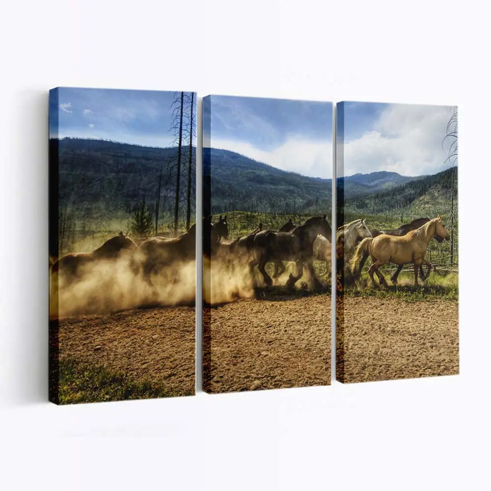 Laufende Wildpferdeherde Leinwandbild