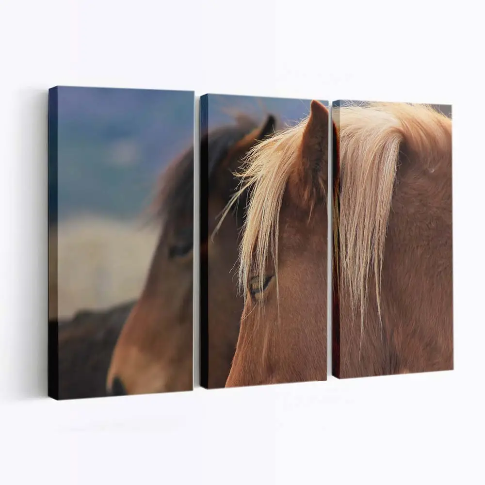 Wildpferde in Bulgarischer Landschaft Leinwandbild