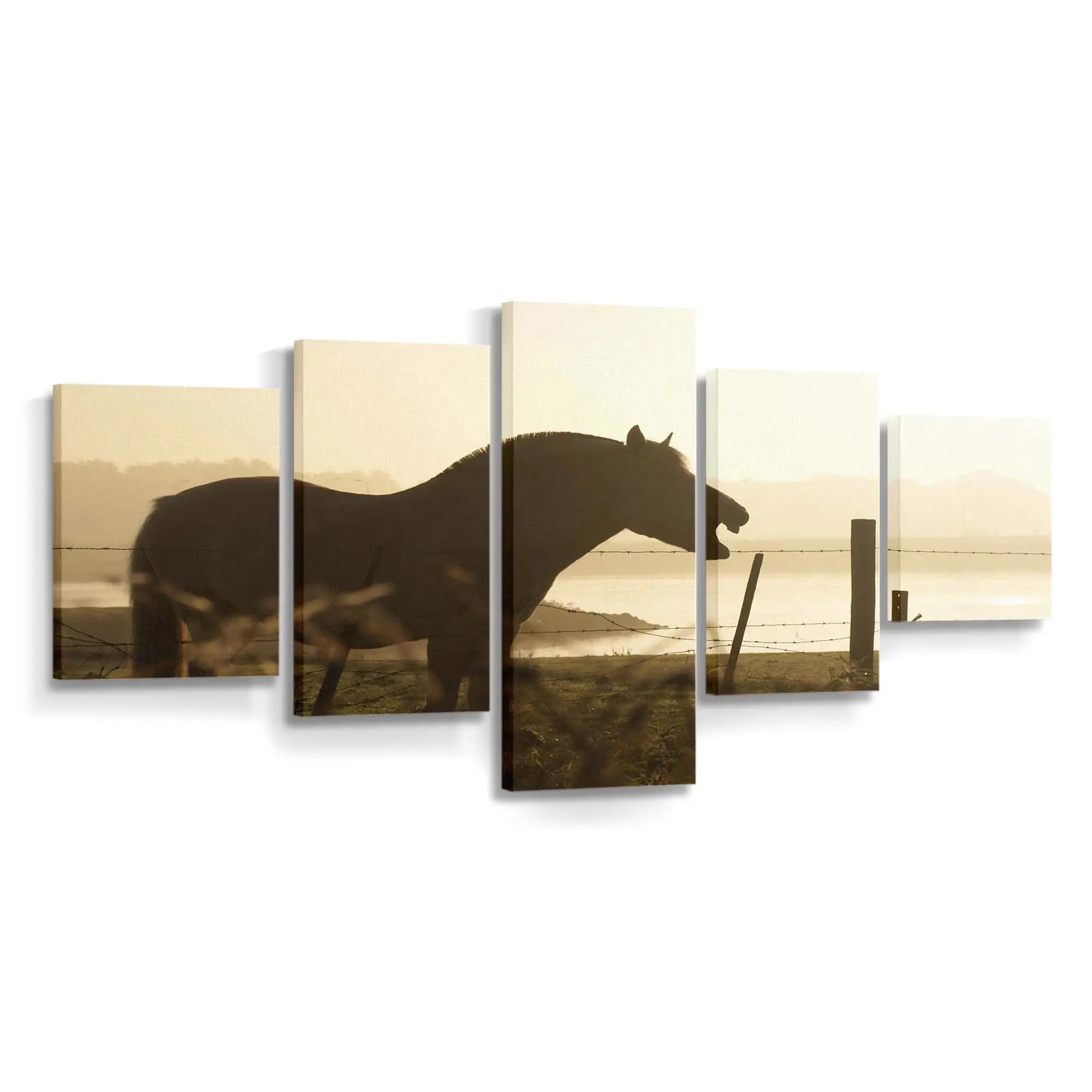 Dunkle Pferde-Silhouette vor Goldenem Himmel Leinwandbild