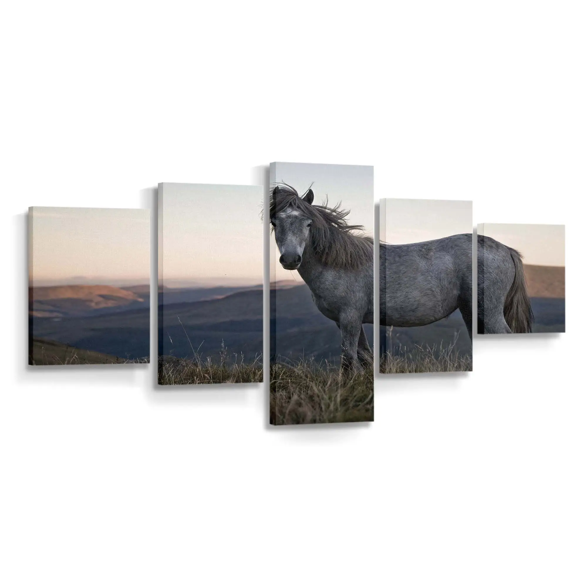 Freilaufendes Wildpferd in der Natur Leinwandbild