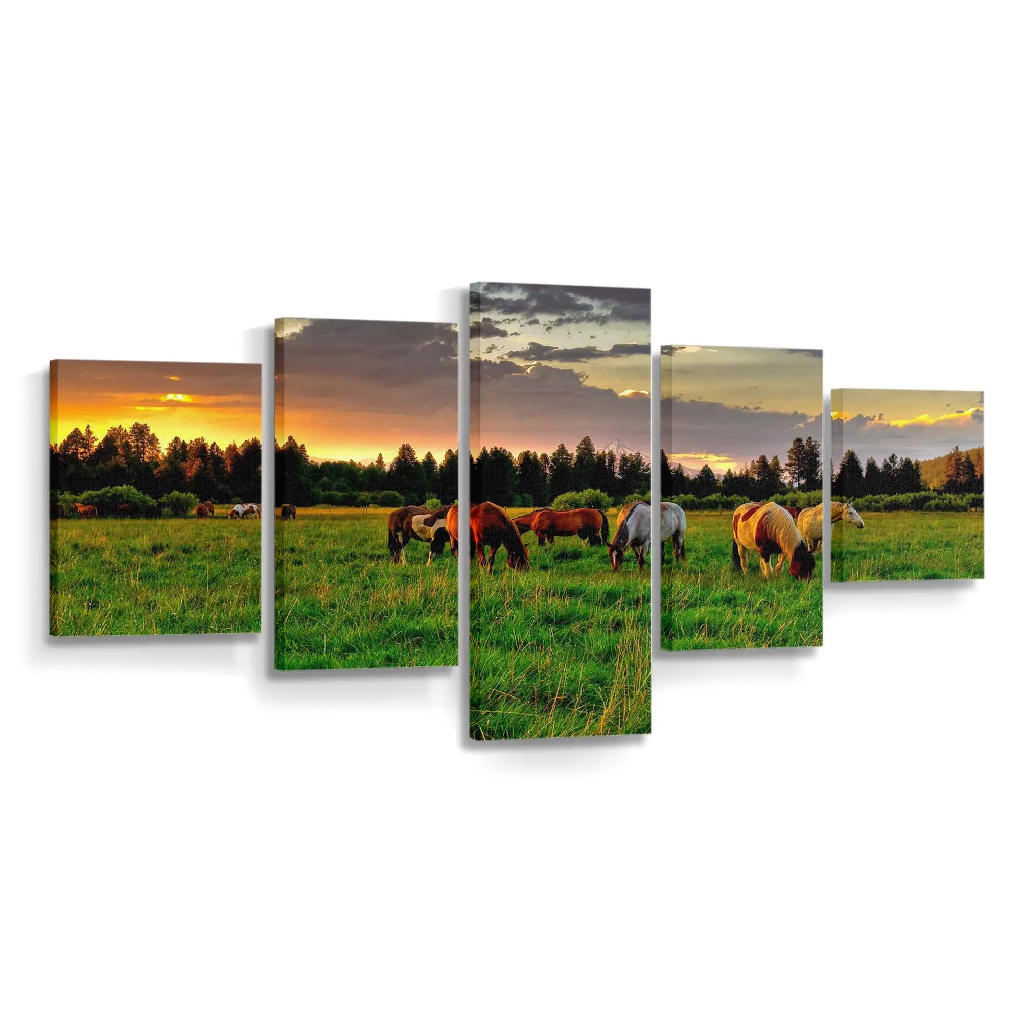 Friedlich Grasende Pferdeherde auf einem Feld Leinwandbild