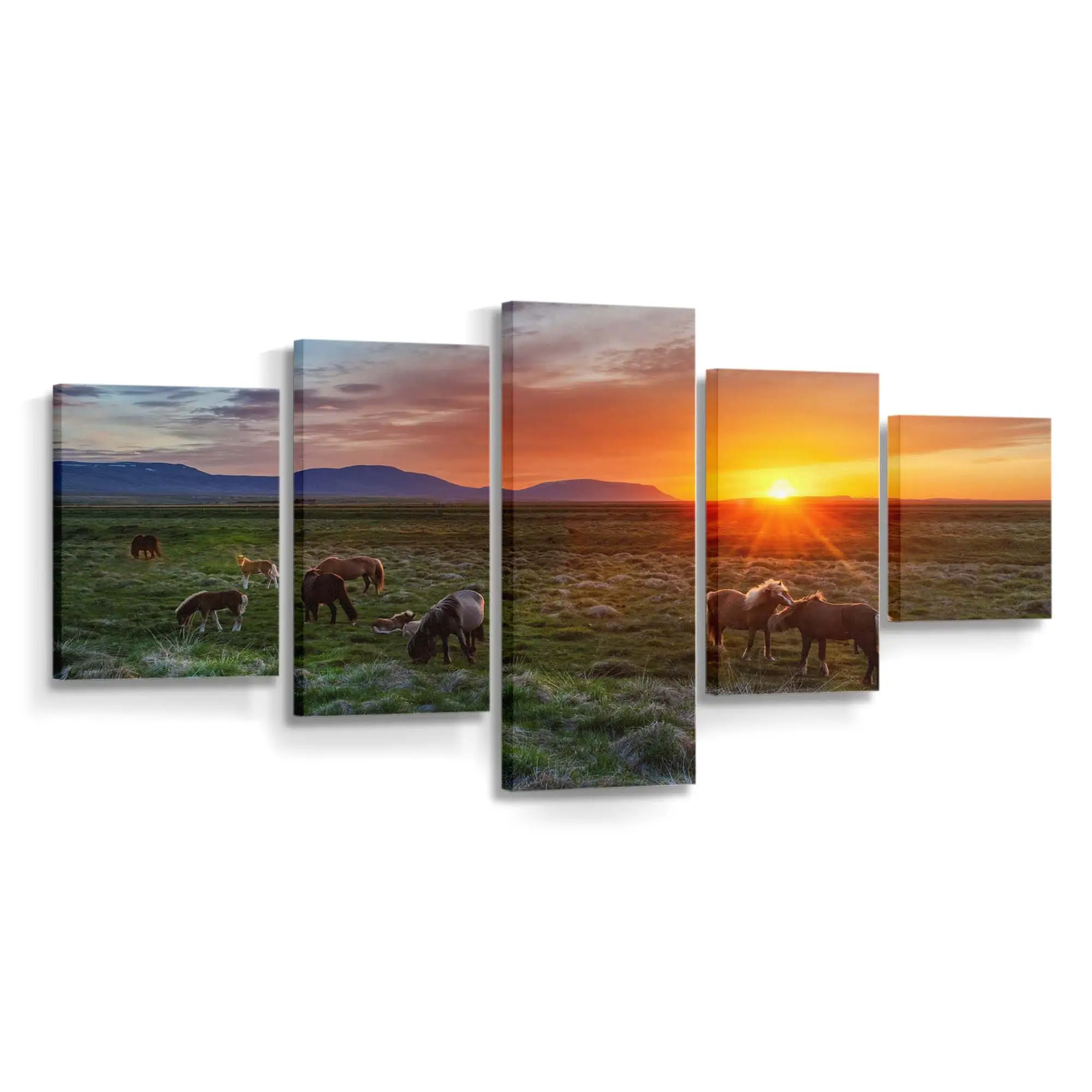 Grasende Wildpferde bei Sonnenuntergang Leinwandbild