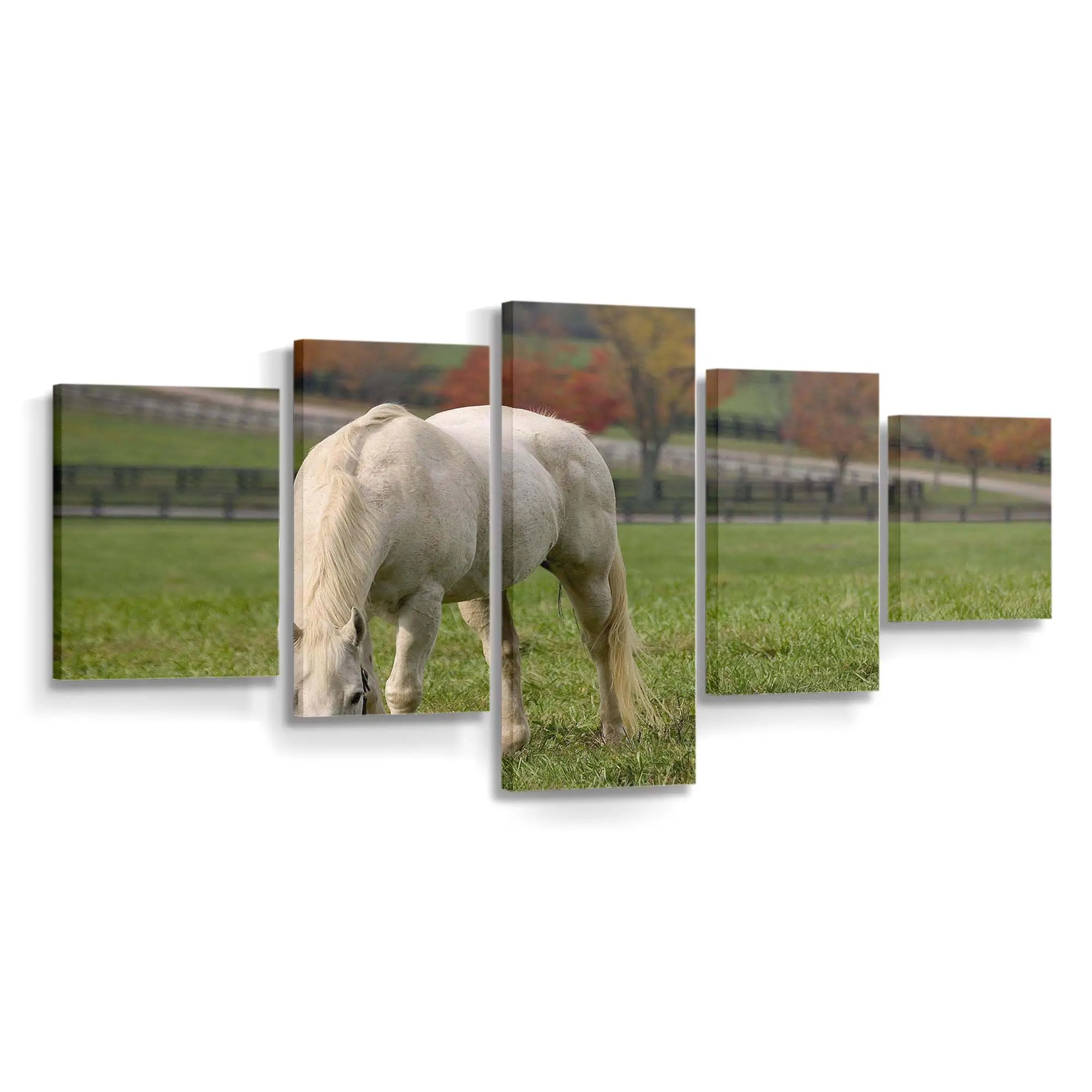 Grasendes Weißes Pferd auf Grüner Wiese Leinwandbild
