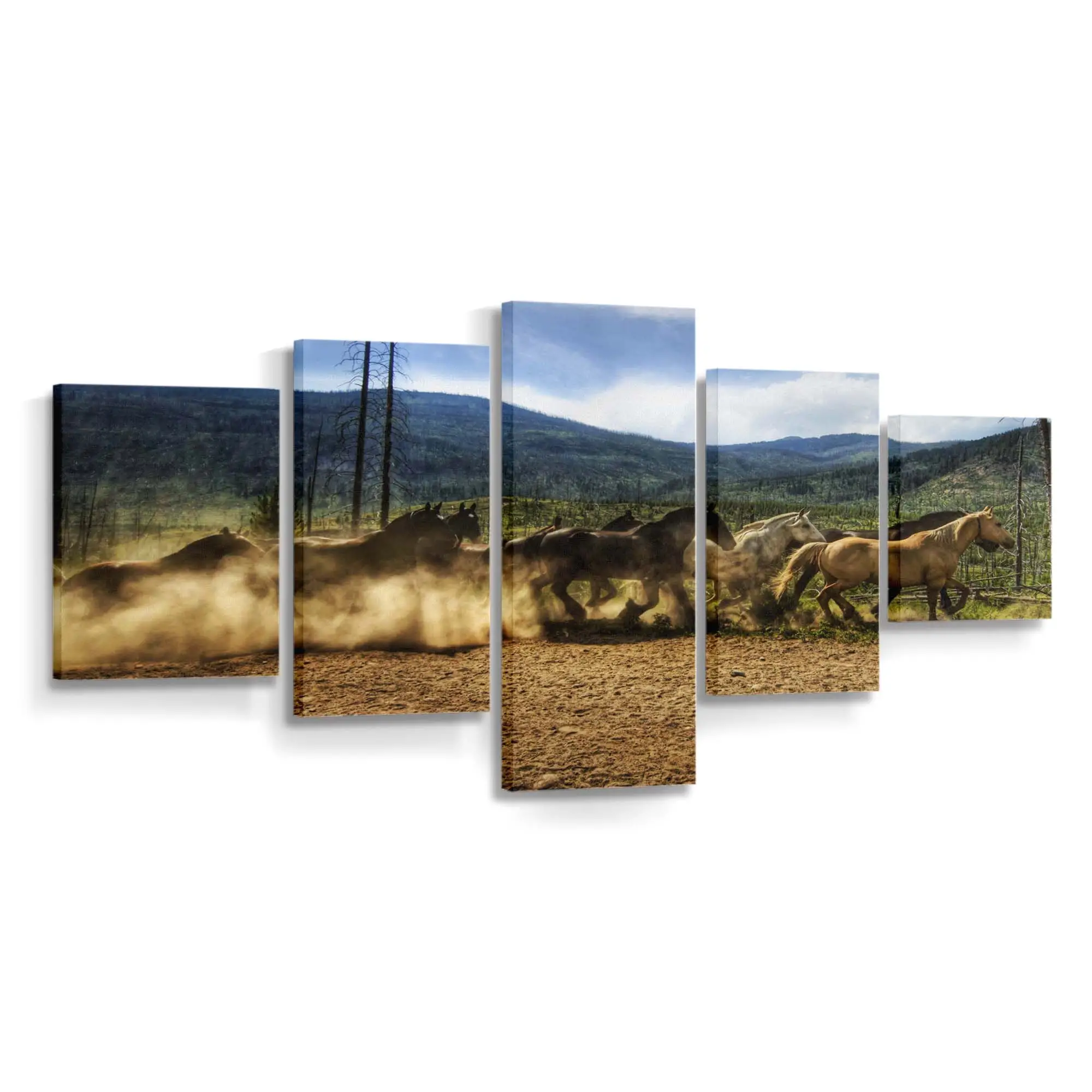 Laufende Wildpferdeherde Leinwandbild