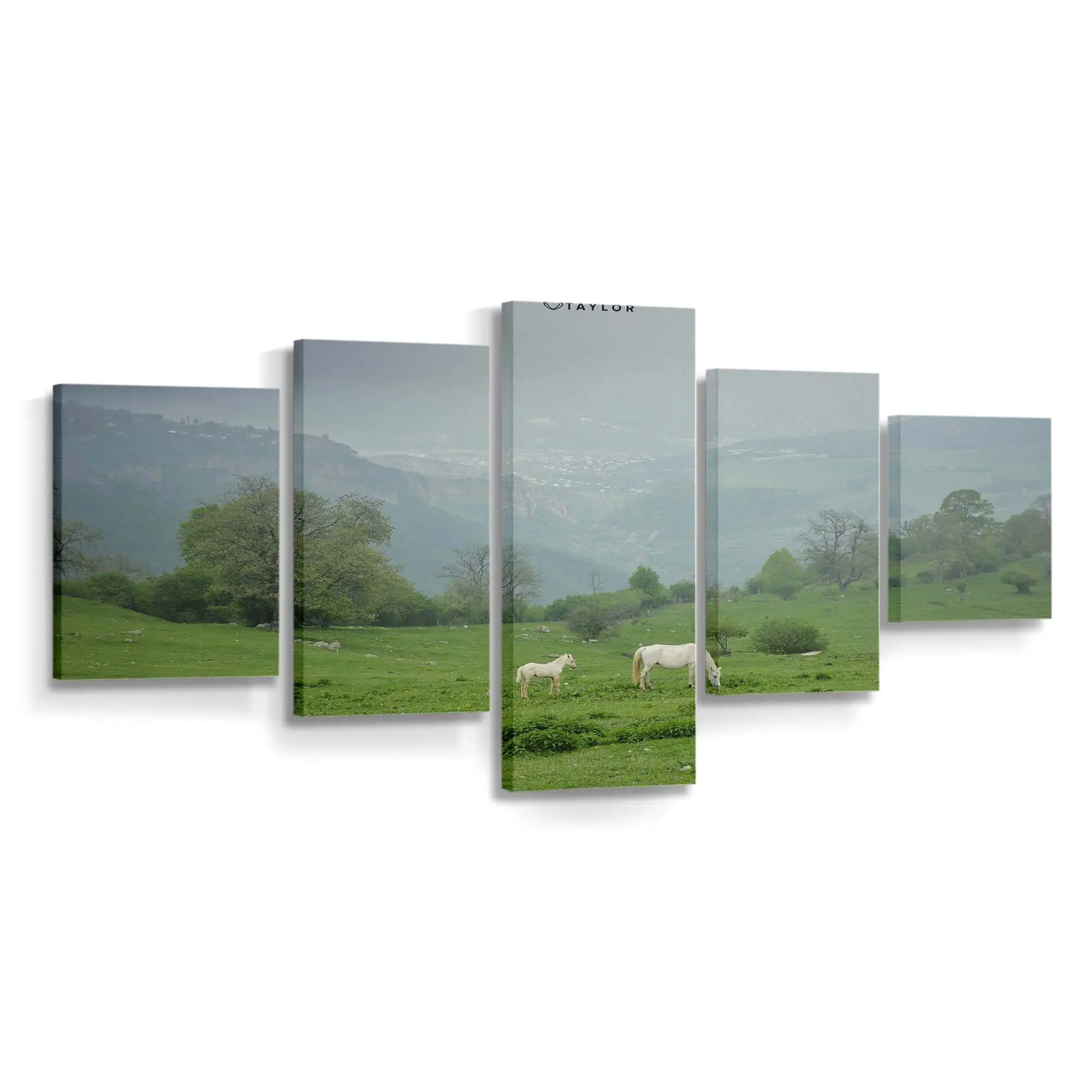 Ruhendes Pferd in Friedlicher Landschaft Leinwandbild