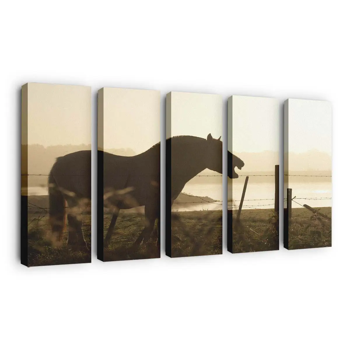Dunkle Pferde-Silhouette vor Goldenem Himmel Leinwandbild