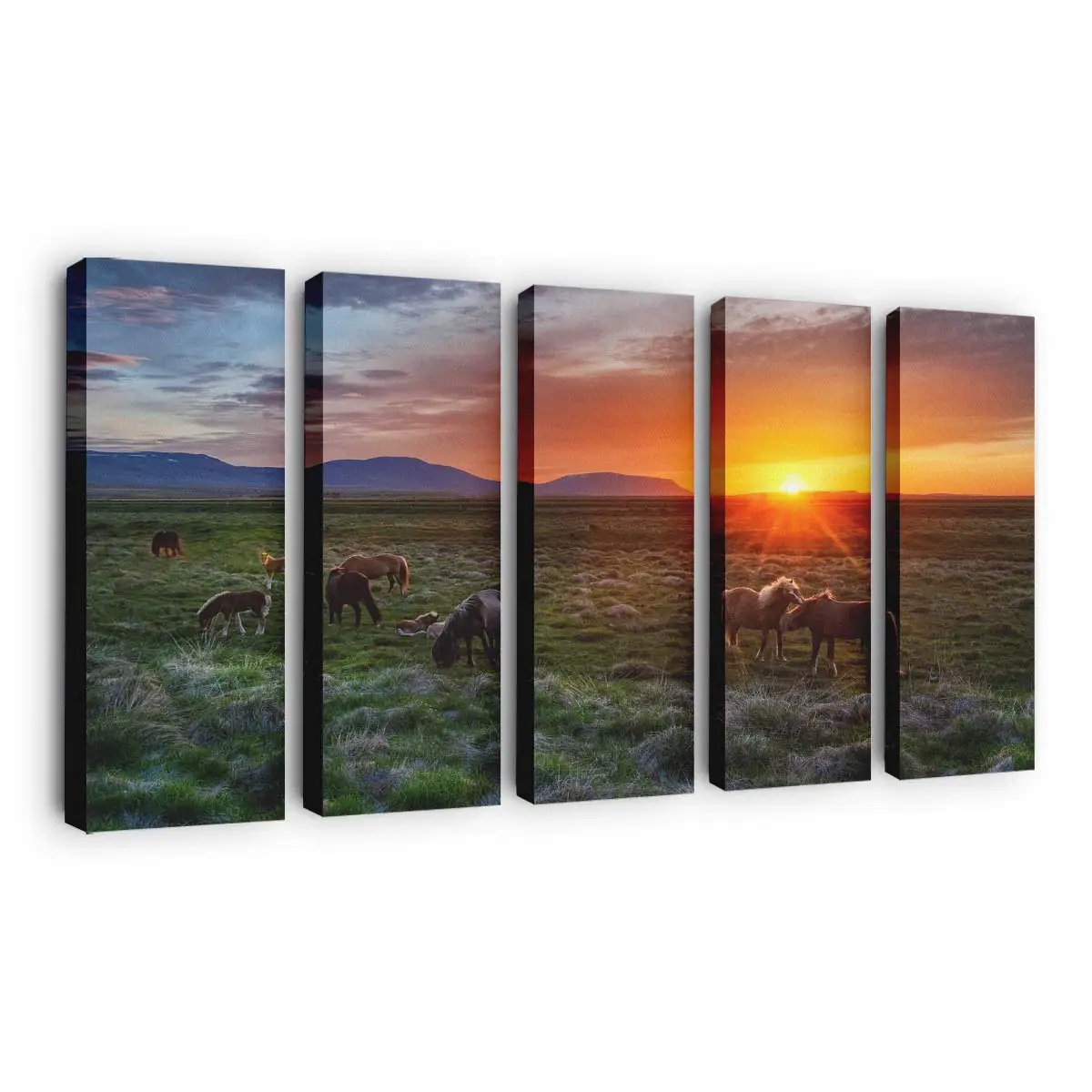 Grasende Wildpferde bei Sonnenuntergang Leinwandbild