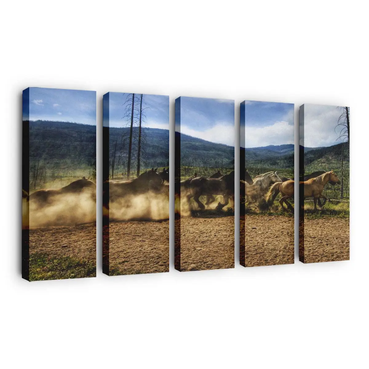 Laufende Wildpferdeherde Leinwandbild
