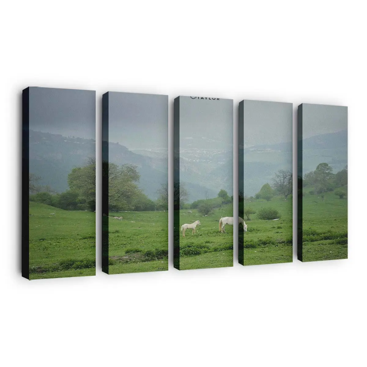 Ruhendes Pferd in Friedlicher Landschaft Leinwandbild