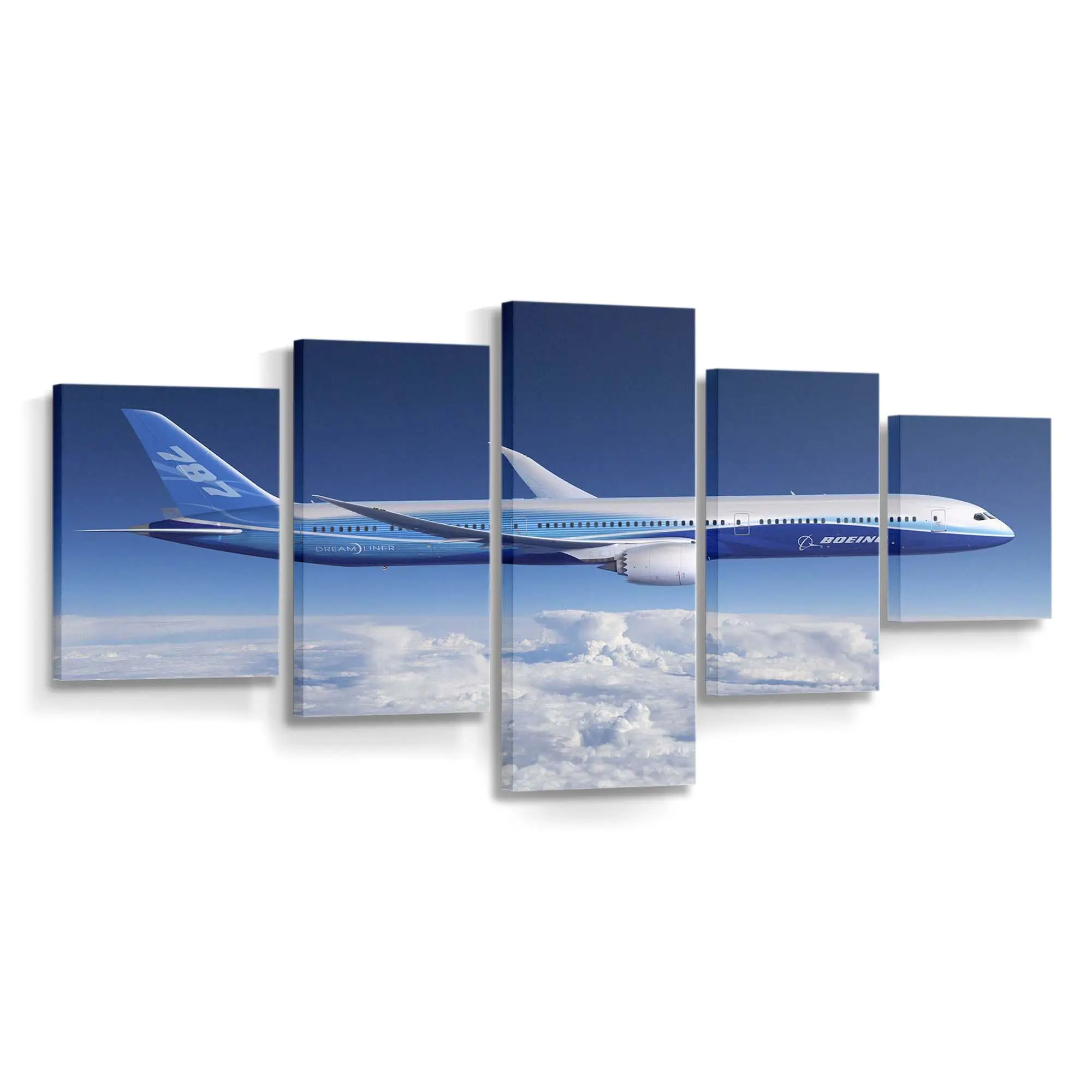 Boeing 787 Dreamliner – Flugzeug Leinwandbild