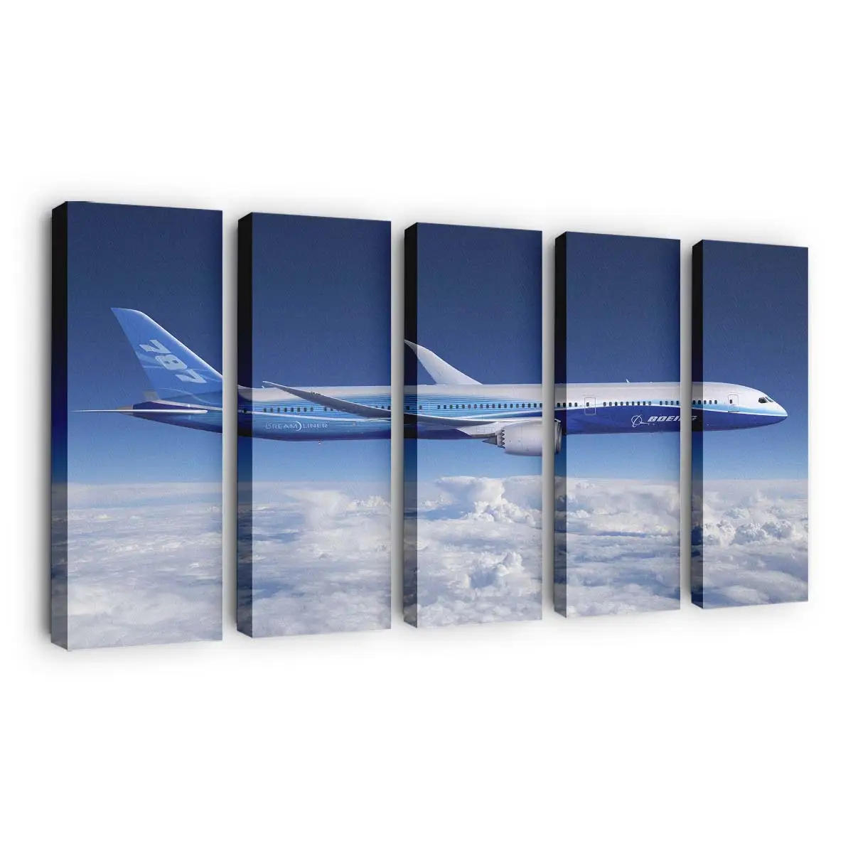 Boeing 787 Dreamliner – Flugzeug Leinwandbild