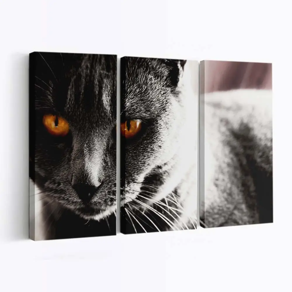 Dunkles Katzenportrt Fine-Art – Katzenmotiv Leinwandbild
