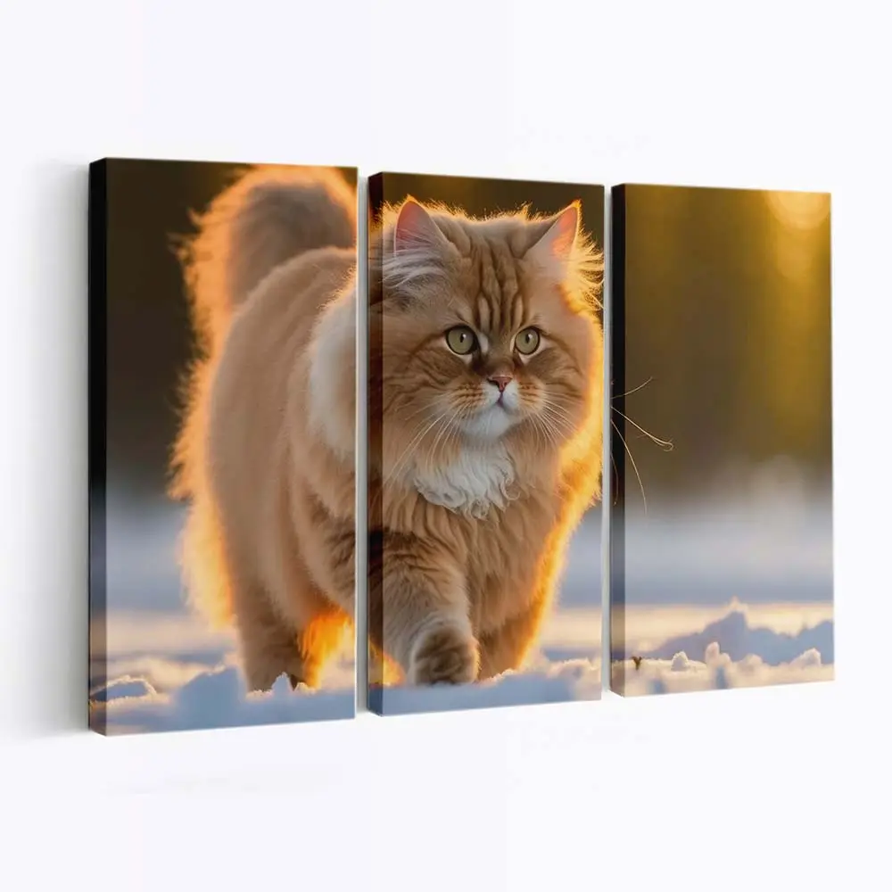 Entspannte Flauschige Katze im Freien – Katzen Wandbild