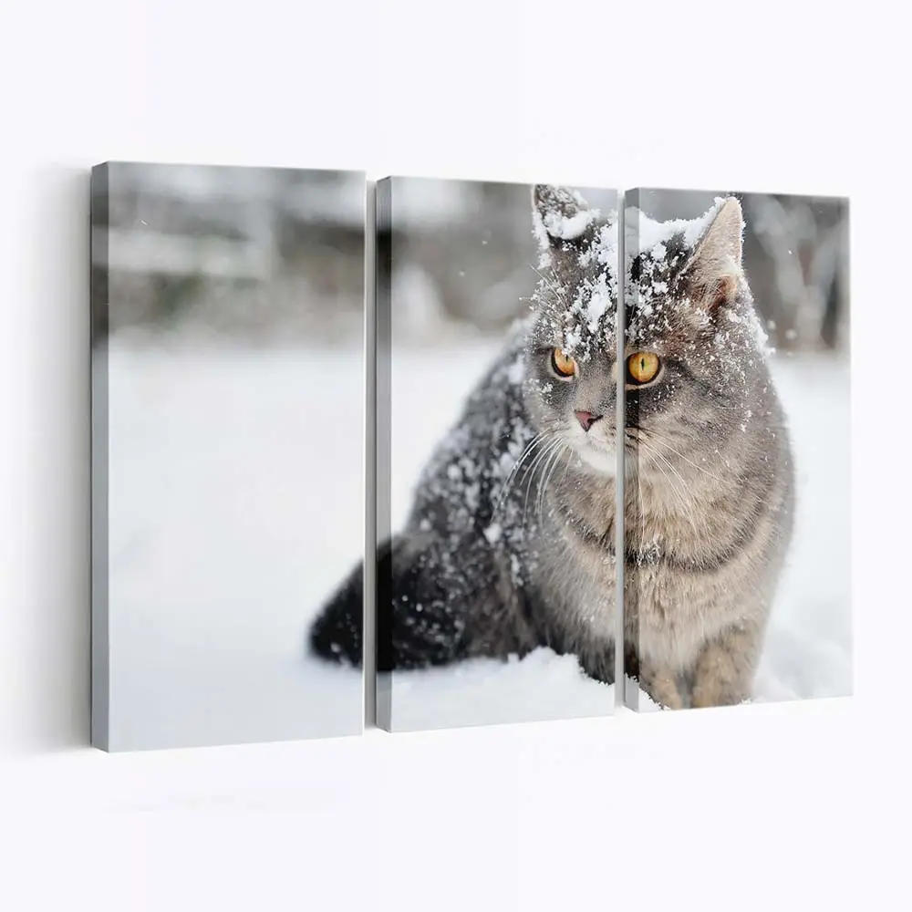 Flauschige Katze im Winterschnee – Katzen Leinwandbild