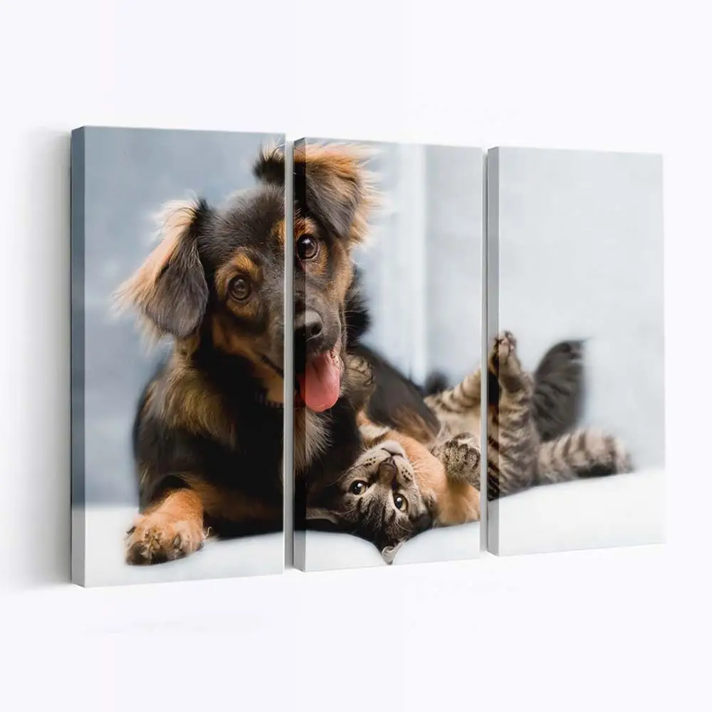 Freundschaft zwischen Hund und Katze – Tierfreundschaft Leinwandbild