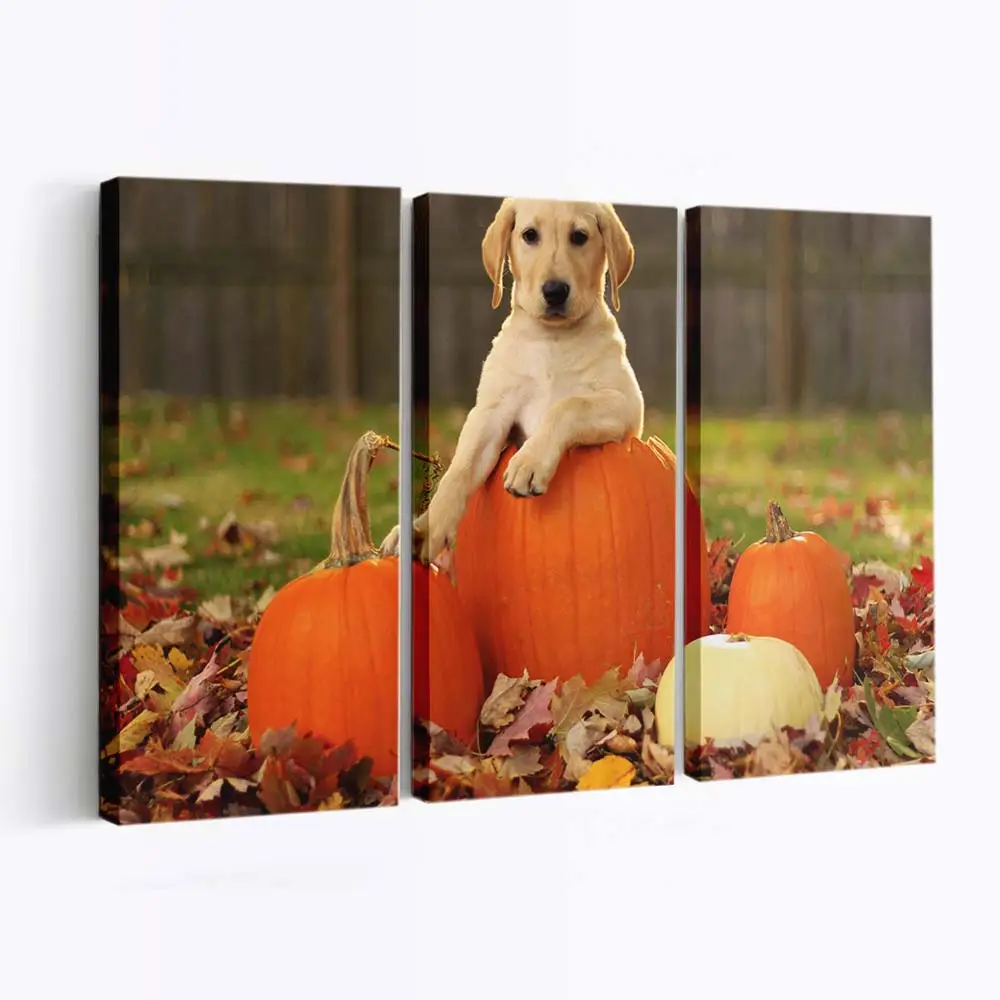 Gelber Labrador Retriever Welpe im Herbst – Welpen Wandbild
