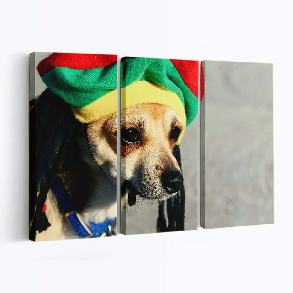 Hund mit Rasta Locken – Hundemotiv Leinwandbild